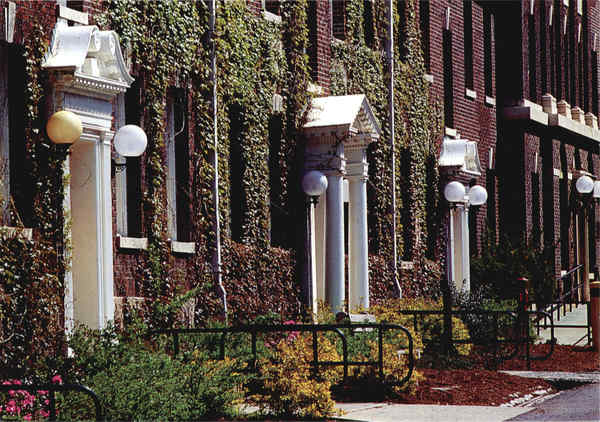 Doors Of The Quad Dorms