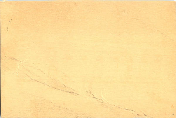 Back of Card