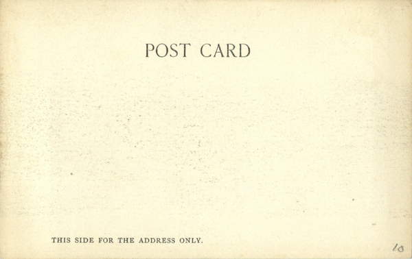 Back of Card