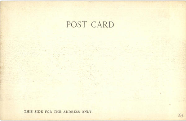 Back of Card