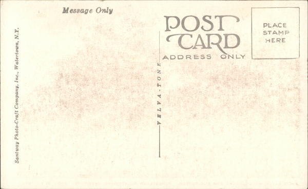 Back of Card