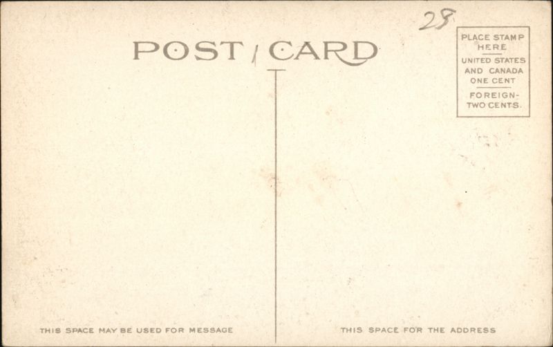 Back of Card