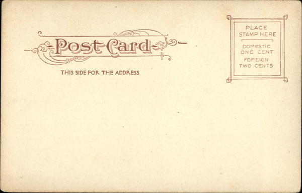Back of Card
