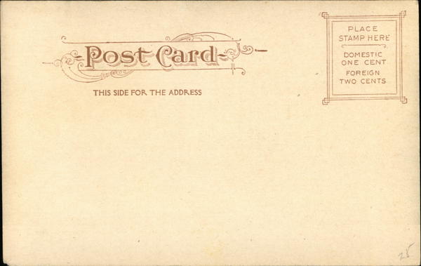 Back of Card