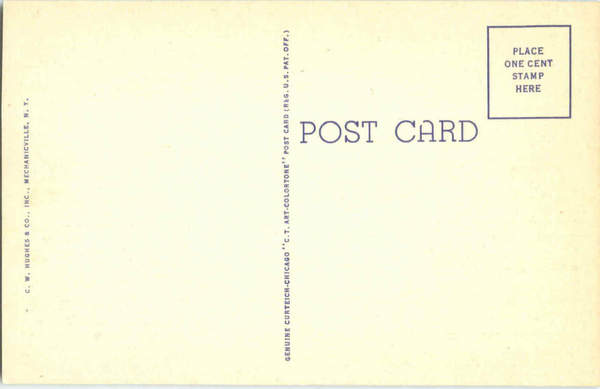 Back of Card