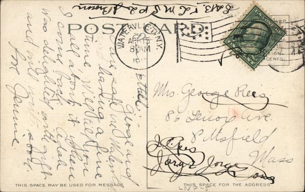 Back of Card