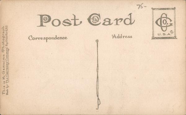 Back of Card