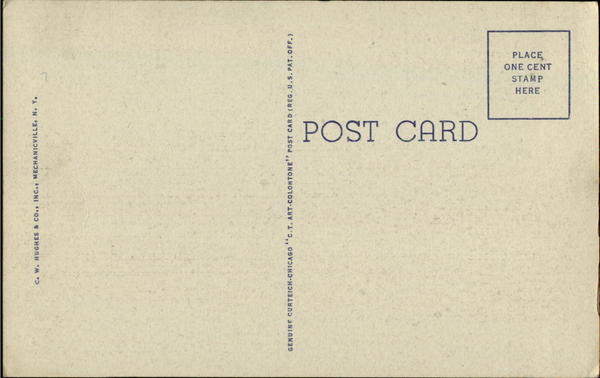 Back of Card
