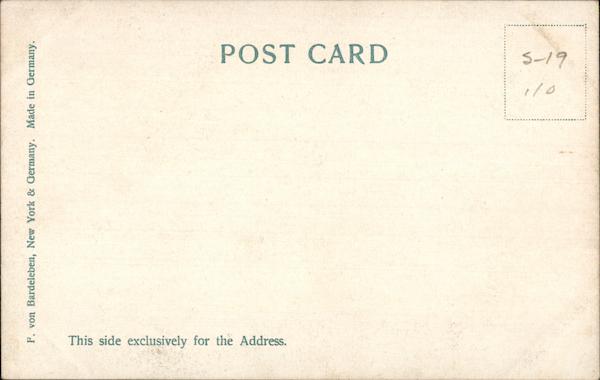 Back of Card